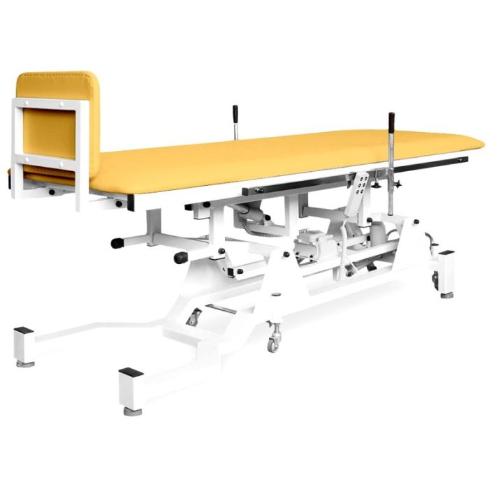 1 Section Tilt Table