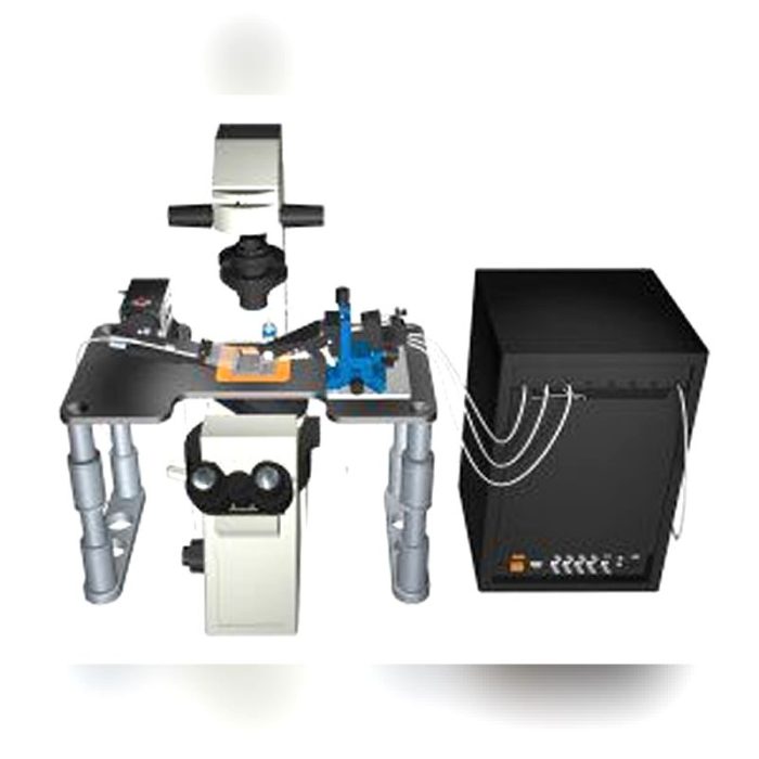 Automatic Patch-Clamp System