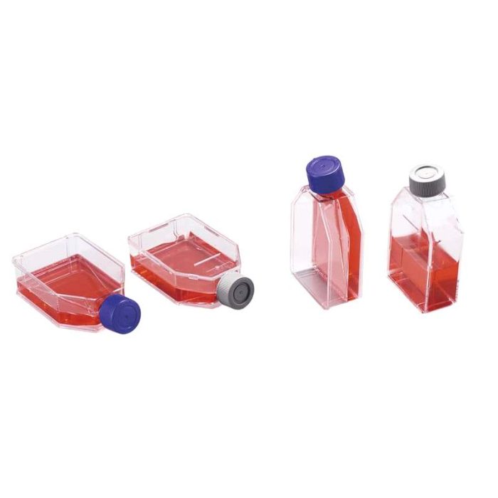 Cell Culture Flask 1