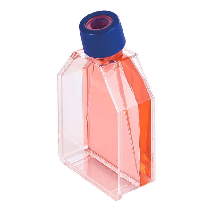 Cell Culture Flask
