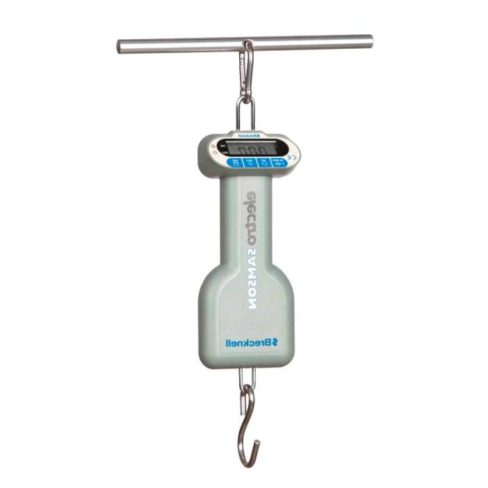 Electronic Patient Weighing Scale