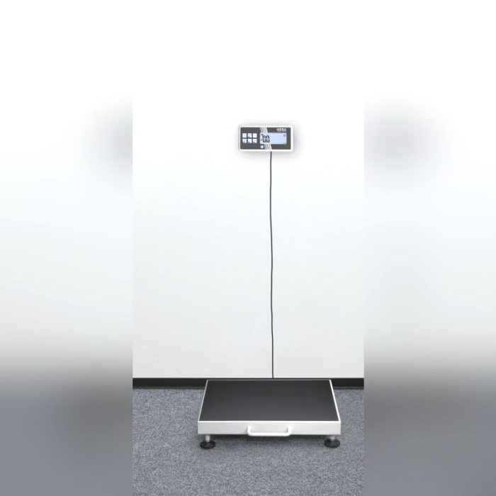 Electronic Patient Weighing Scale 6