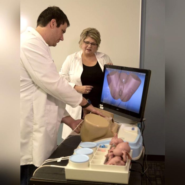 Gynecological Care Simulator 1