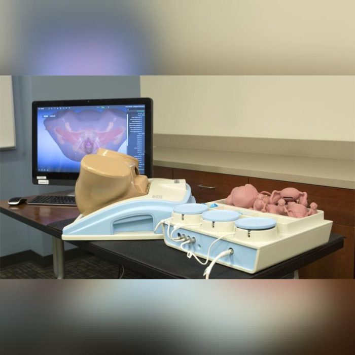 Gynecological Care Simulator 2