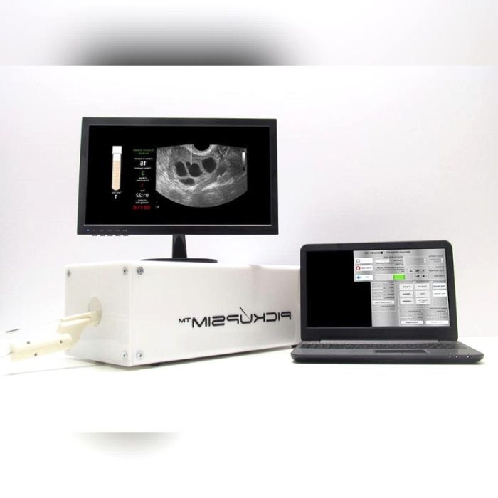 Gynecological Surgery Simulator