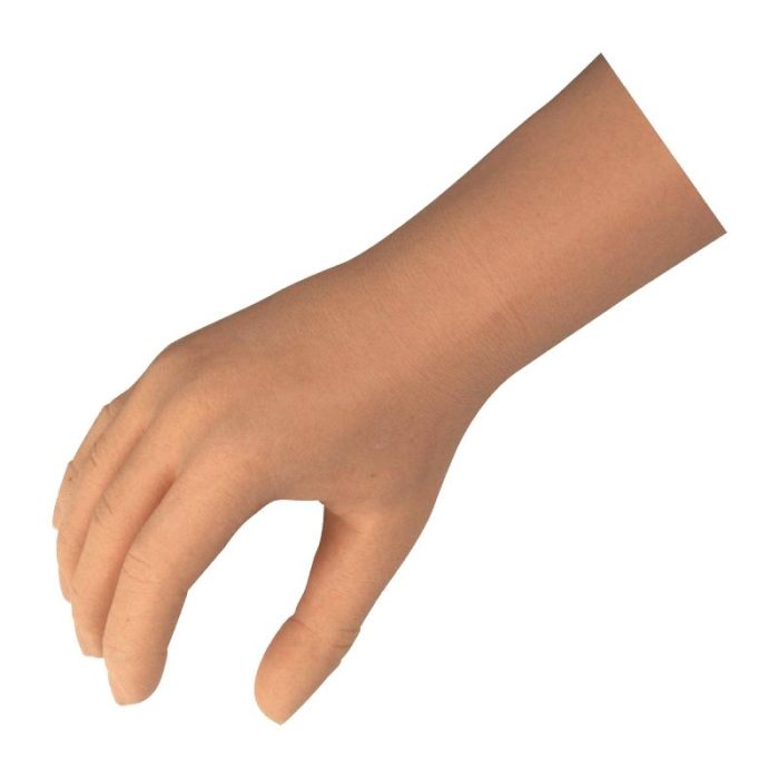Hand Cosmetic Prosthesis 1