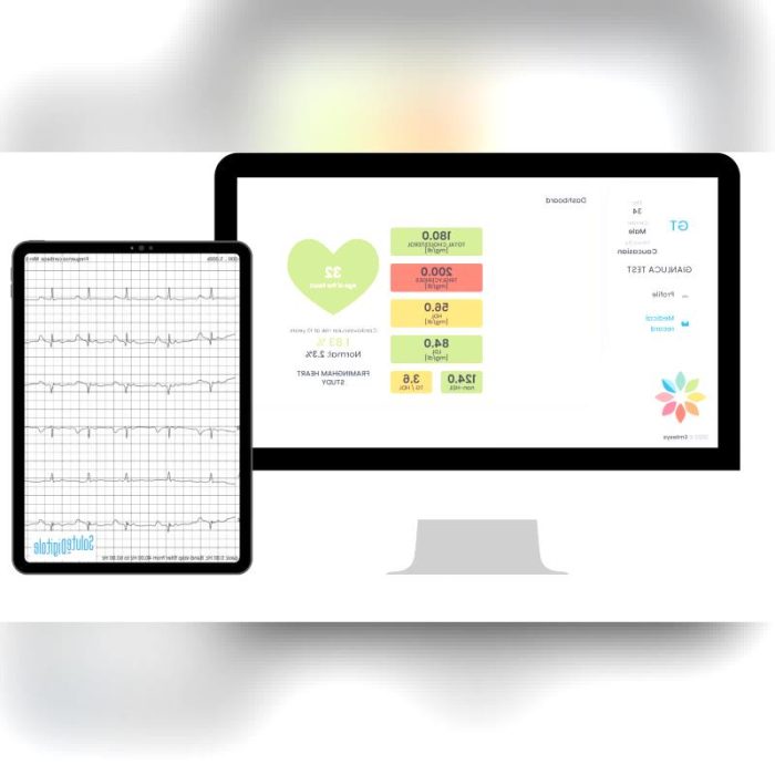 Health Telemonitoring System 1