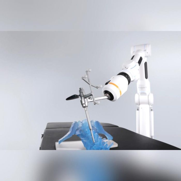 Instrument Holding Surgical Robot 6