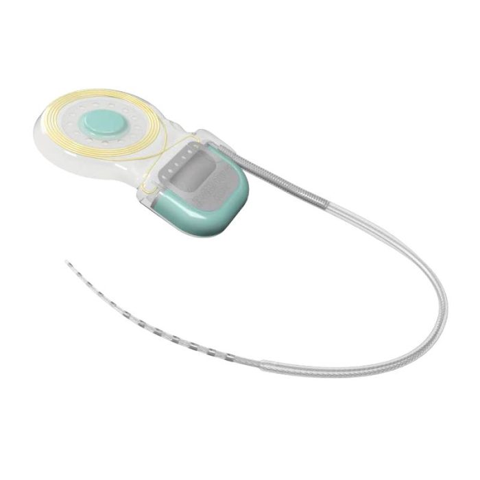 Internal Component Cochlear Implant