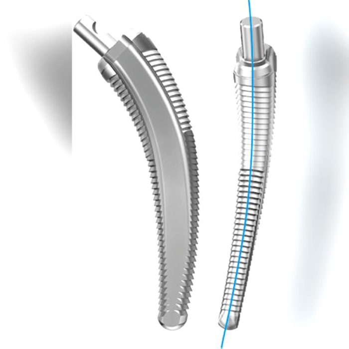 Minimally Invasive Hip Prosthesis 3