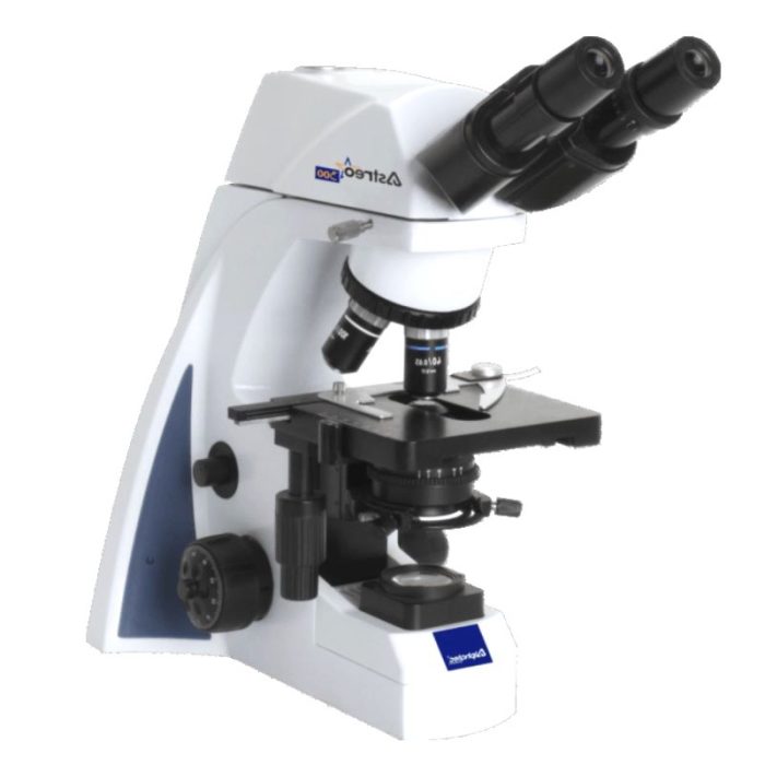 Optical Microscope